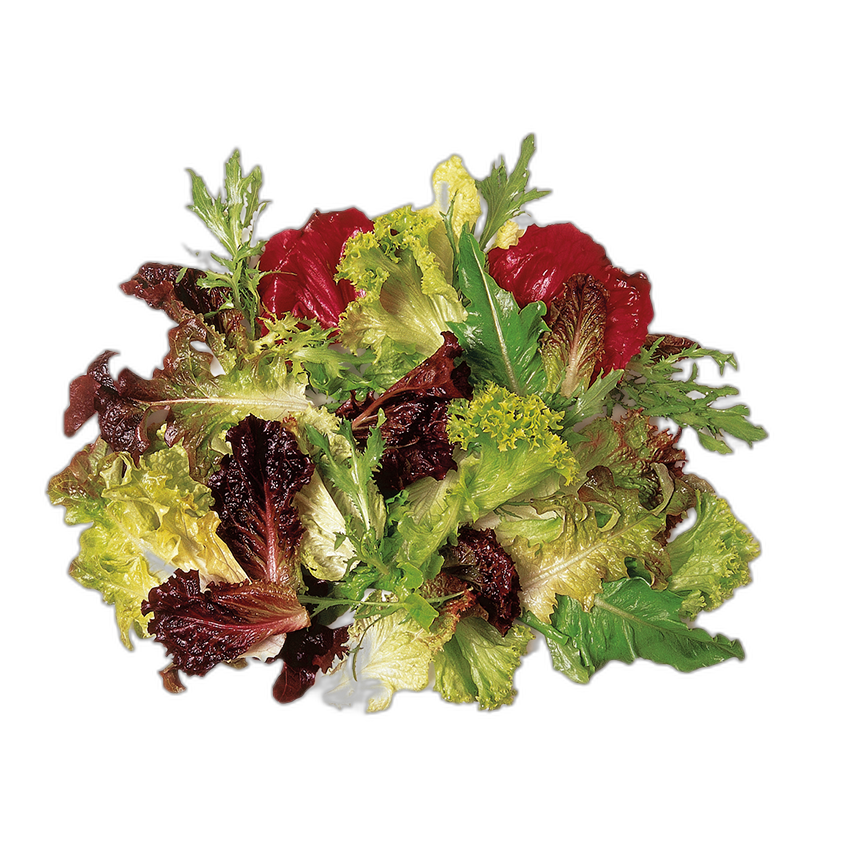 Akdeniz Yeşillikleri