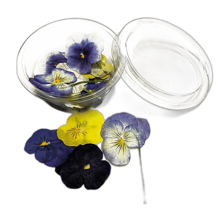 Yenilebilir Çiçekler